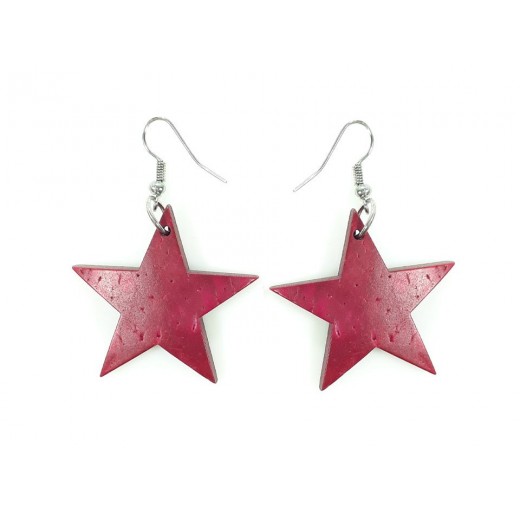 Aros Colgantes de Coco Estrella